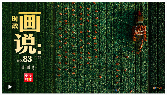 時(shí)政畫(huà)說(shuō)丨甘甜季