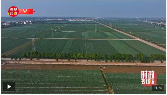 時政現(xiàn)場說丨蔬菜鋪就振興路 四邑催開幸?；? width=