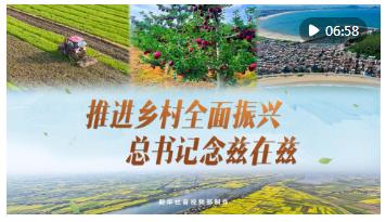 微視頻｜推進(jìn)鄉(xiāng)村全面振興 總書記念茲在茲