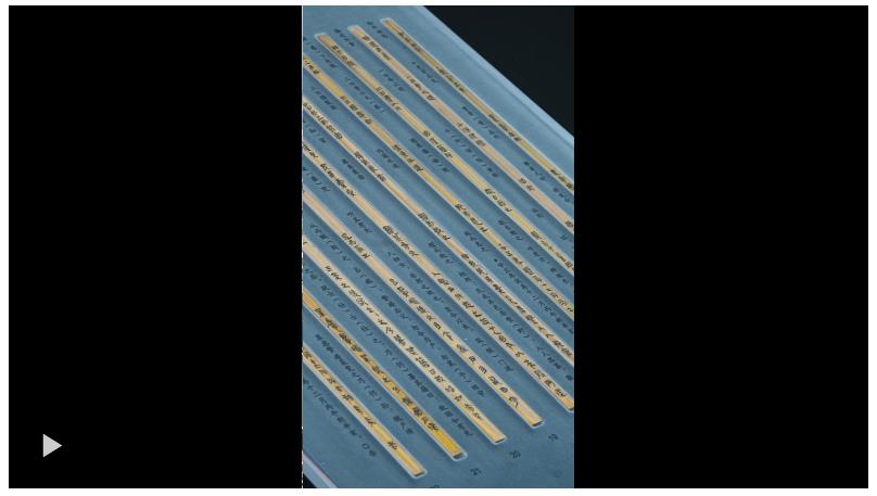 習(xí)近平參觀的這些簡(jiǎn)牘，敘說(shuō)著中華文明的浩蕩綿延