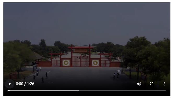 改革·印記丨總書記向往之地，一片甲骨驚天下