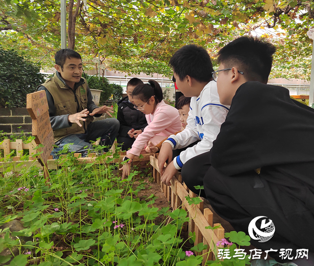 開(kāi)展研學(xué)實(shí)踐 探索自然奧秘
