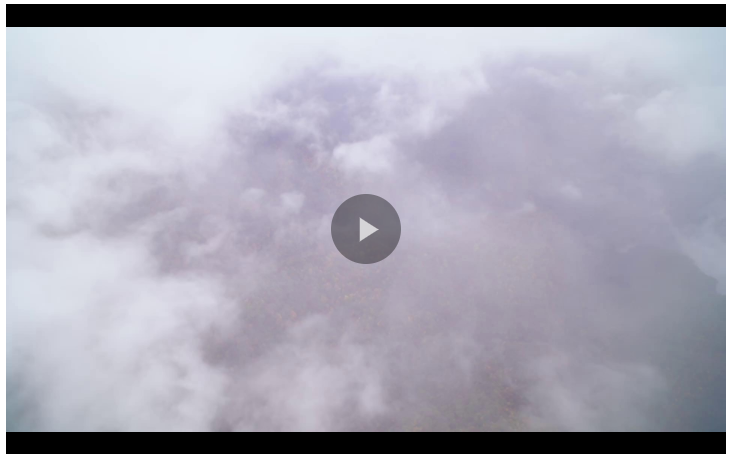 巍巍大山 紅旗飄揚(yáng)丨秦嶺——見證長(zhǎng)征光芒的地方