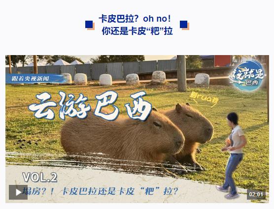 跟著習主席看世界丨什么友誼，像長江和亞馬孫河一樣奔騰不息！