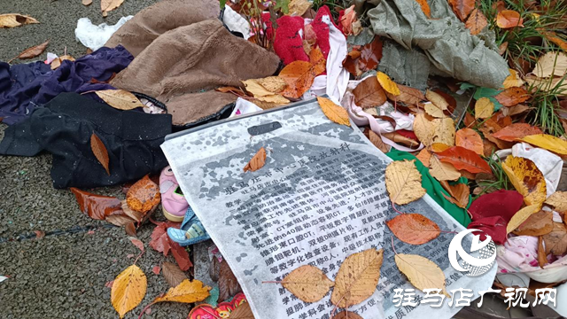 綠化帶成了“垃圾帶” 環(huán)境臟亂誰來管？