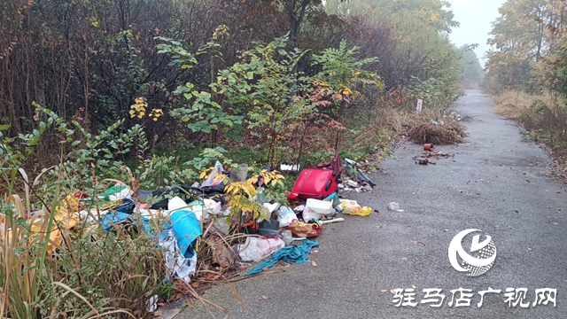 綠化帶成了“垃圾帶” 環(huán)境臟亂誰來管？