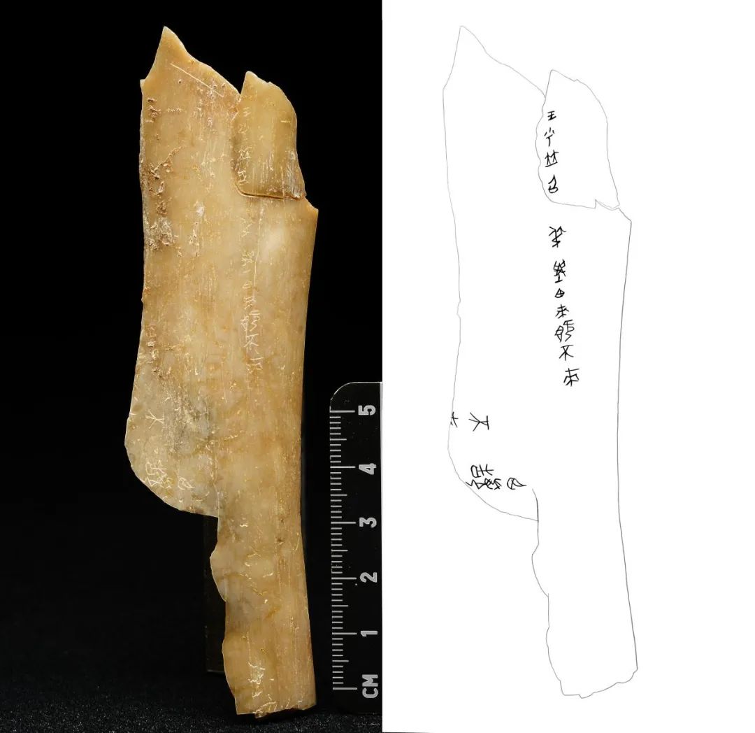 重大發(fā)現(xiàn)！首次出土有“秦人”字樣甲骨