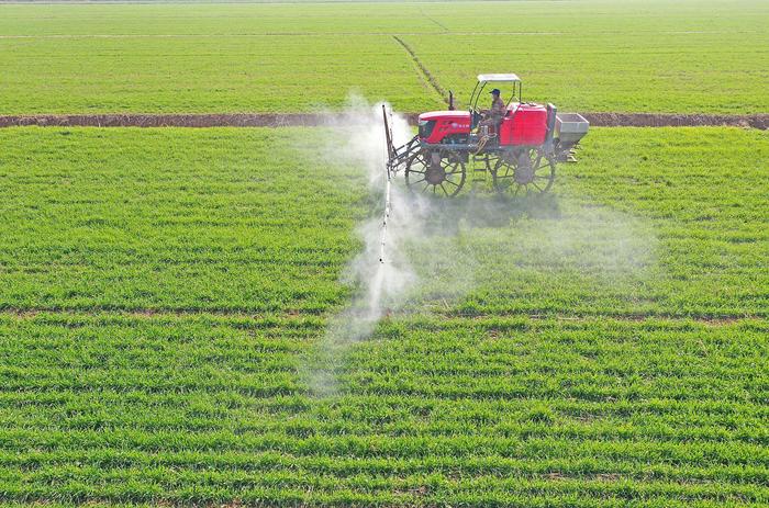 2025年“三農”工作怎么干?三個關鍵詞解讀