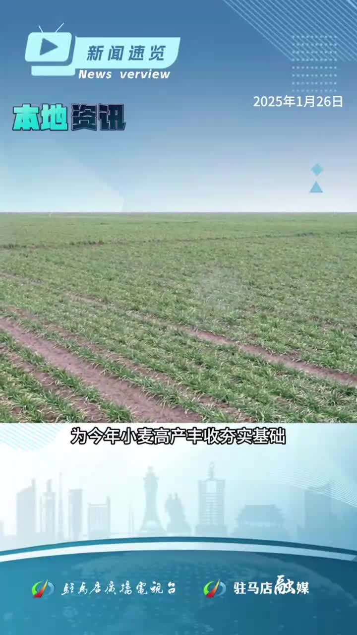 首個新能源車險指導意見發(fā)布；河南力爭社會消費品零售總額增長6%；駐馬店市春節(jié)聯(lián)歡會彩排開啟|《新聞速覽》