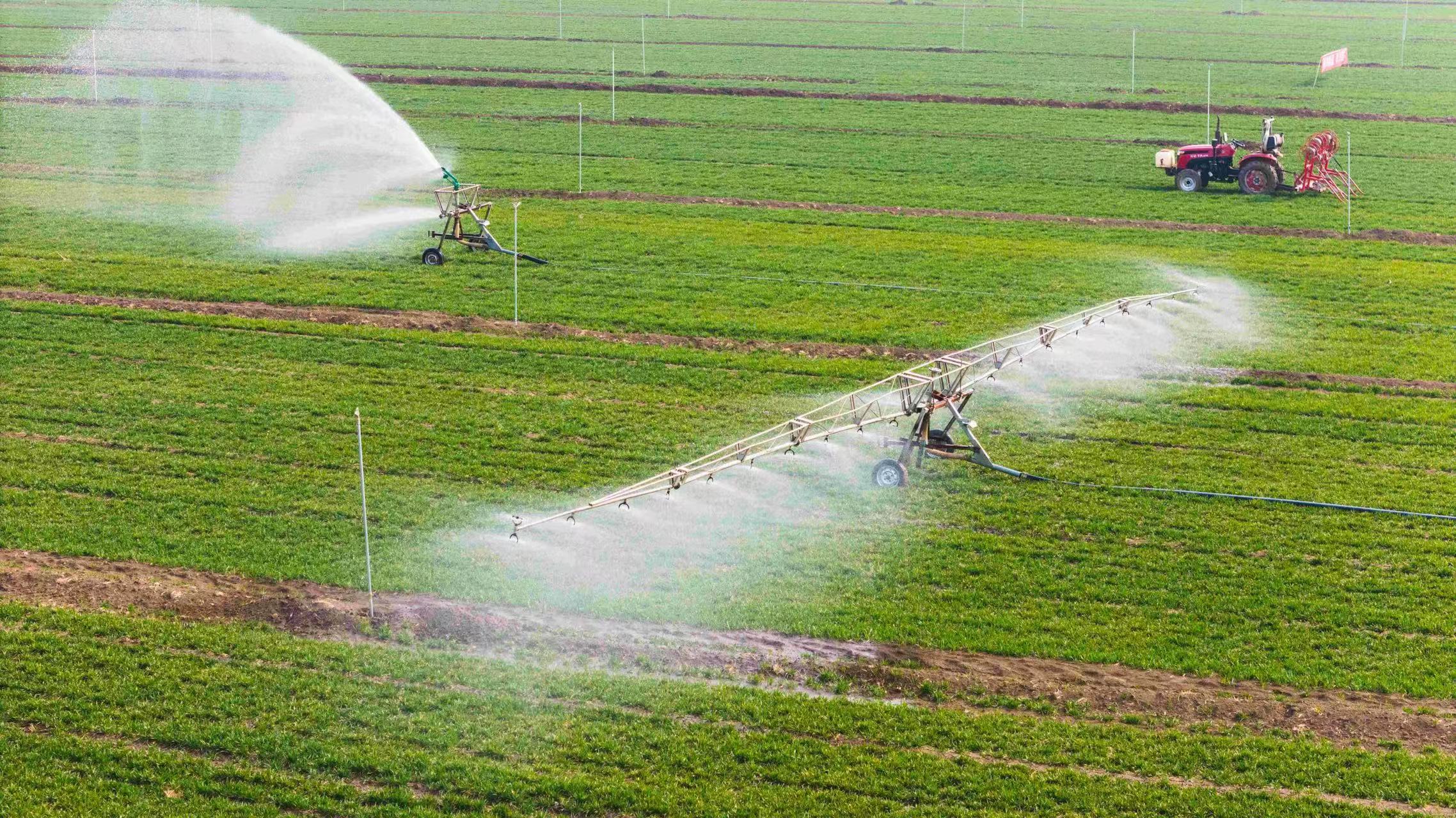 【地評線】河聲丨科技賦能“種芯”，繪就河南豐收盛景