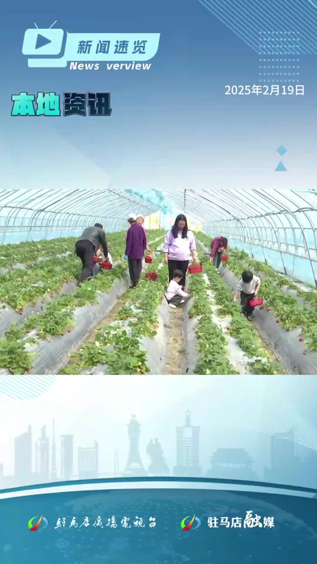 中小企業(yè)專項服務行動啟動；專家支招小麥返青拔節(jié)期管理；駐馬店市氣溫波動下滑|《新聞速覽》