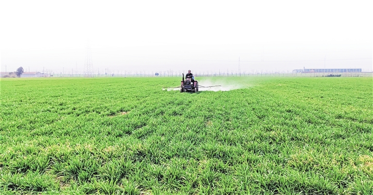 抓好春耕春管 夯實(shí)豐收基礎(chǔ)