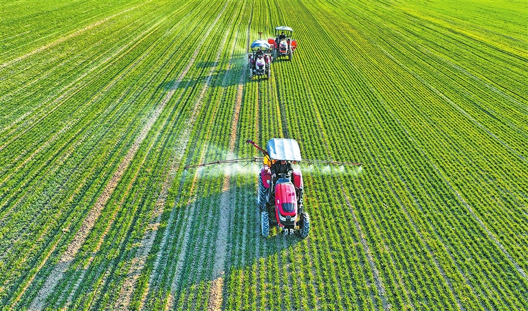 精心開(kāi)展田間管理