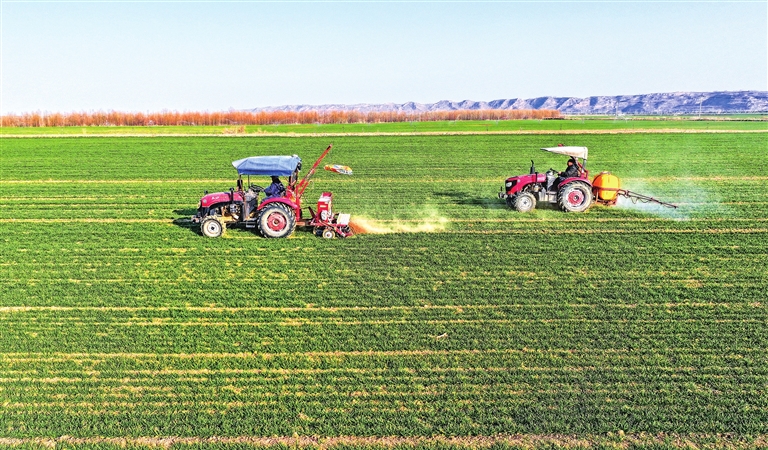 抓好春耕春管 夯實(shí)豐收基礎(chǔ)