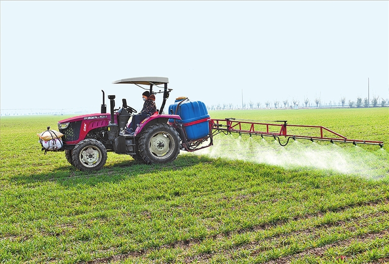 二月二 抬頭見(jiàn)精神