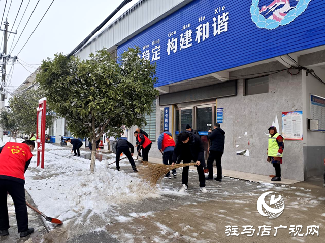 平輿縣李屯鎮(zhèn)：除雪行動(dòng)暖人心 志愿服務(wù)展風(fēng)采