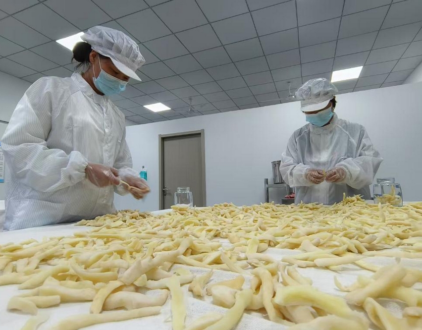 這些“三農(nóng)”內(nèi)容，讓農(nóng)民增收有了新“密碼”