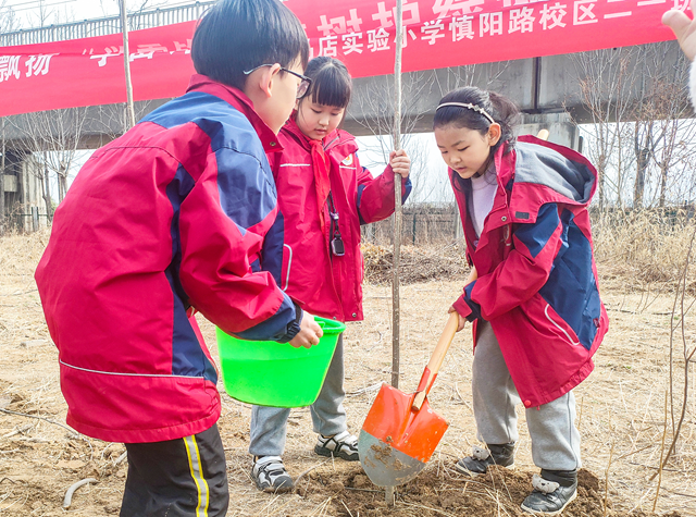 護一抹新綠 添一份春光