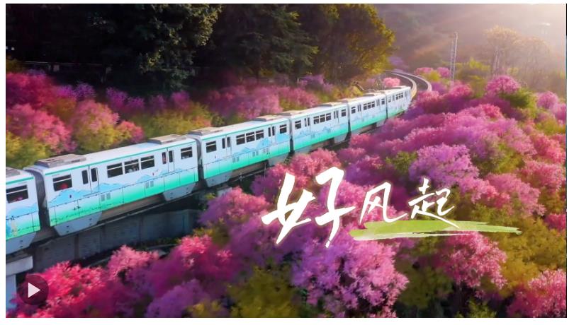 好風(fēng)起，即刻出發(fā)