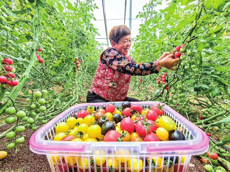發(fā)展特色果蔬種植業(yè)，帶動群眾增收