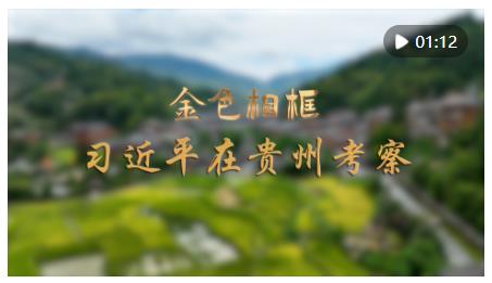 金色相框｜習近平在貴州考察