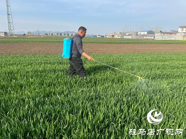 泌陽縣:多措并舉做好春管春耕
