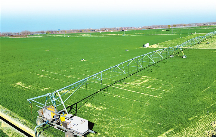 一粒小麥長長的“鏈” 春管新“智”匯系列⑥