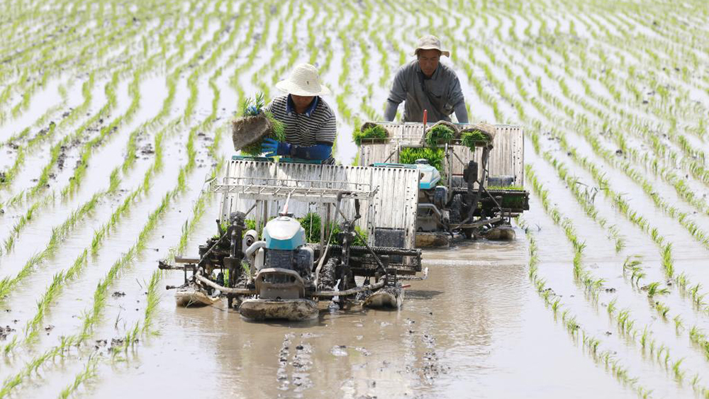 中央財政強農惠農富農政策清單發(fā)布