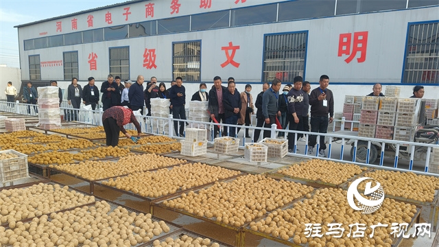 山西100余名高素質(zhì)農(nóng)民赴駐馬店市開發(fā)區(qū)六合紅心農(nóng)民專業(yè)合作社參觀學(xué)習