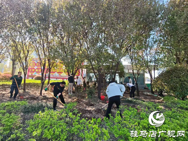 示范區(qū)綜合執(zhí)法大隊(duì)積極開展補(bǔ)植增綠工作