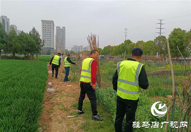  經(jīng)濟開發(fā)區(qū)金山辦事處集中開展禁種鏟毒踏查及禁種知識宣傳