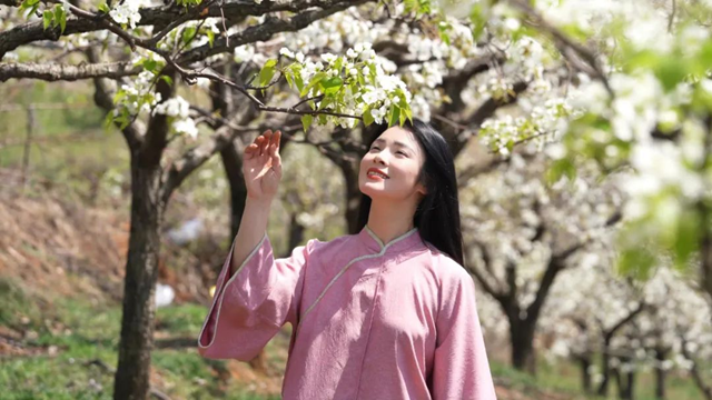 泌陽縣：融媒女主播邀您“云游”馬谷田 感受漫山遍野花海盛宴