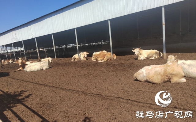 駐馬店市動物防疫檢疫中心發(fā)布4月份動物預警預報