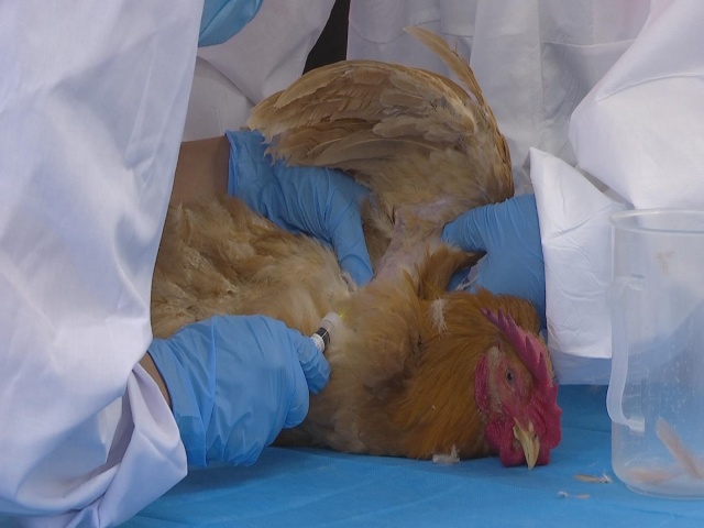 駐馬店市動物防疫檢疫中心發(fā)布4月份動物預(yù)警預(yù)報(bào)