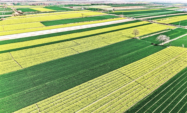 田園風(fēng)光美如畫