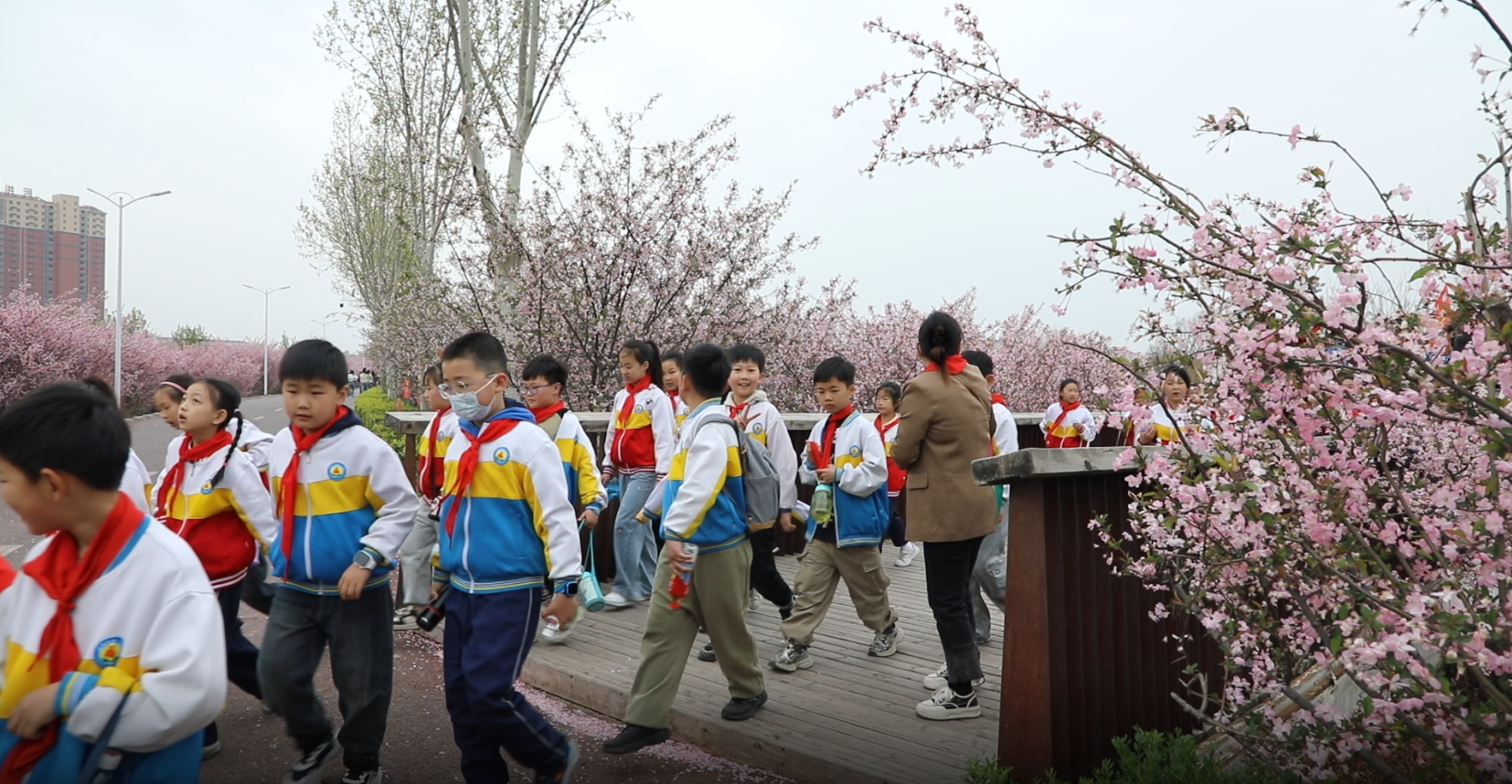 駐馬店清明游火爆：三天攬客162萬！