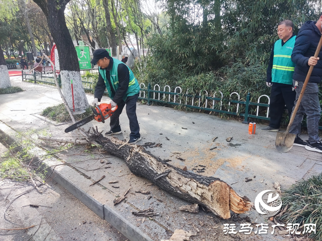  開發(fā)區(qū)城市管理局：防治飛絮解民憂