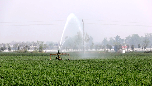 正陽縣寒凍鎮(zhèn)徐莊村：80眼機(jī)井高效運(yùn)轉(zhuǎn) 基層管護(hù)澆出夏糧希望