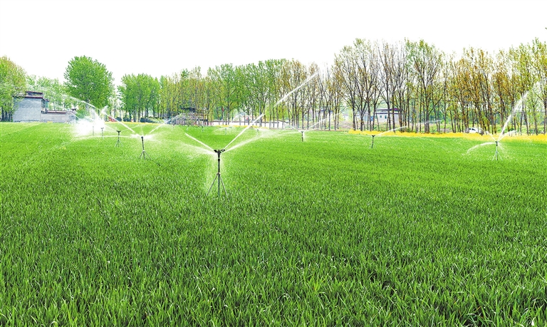 搶抓灌溉澆麥窗口期