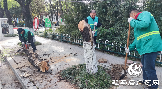  積極開(kāi)展“愛(ài)國(guó)衛(wèi)生月”城市環(huán)境整治行動(dòng)