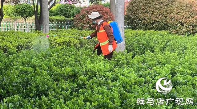  示范區(qū)綜合執(zhí)法大隊(duì)：開(kāi)展病蟲(chóng)害防治 筑牢園林安全屏障