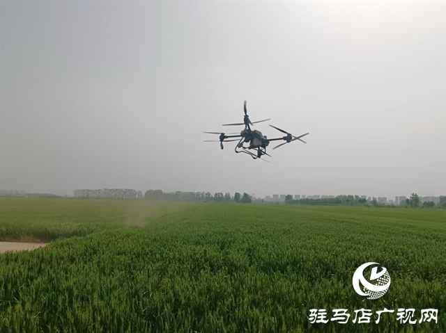  示范區(qū)劉閣街道：“一噴三防”進田間筑牢夏糧豐收防線