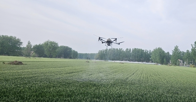 平輿縣：AI賦能智慧農(nóng)業(yè)與政務(wù)服務(wù) 激活鄉(xiāng)村振興新動能