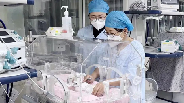 掌心寶寶變形記：從“不會哭”到“自己走”