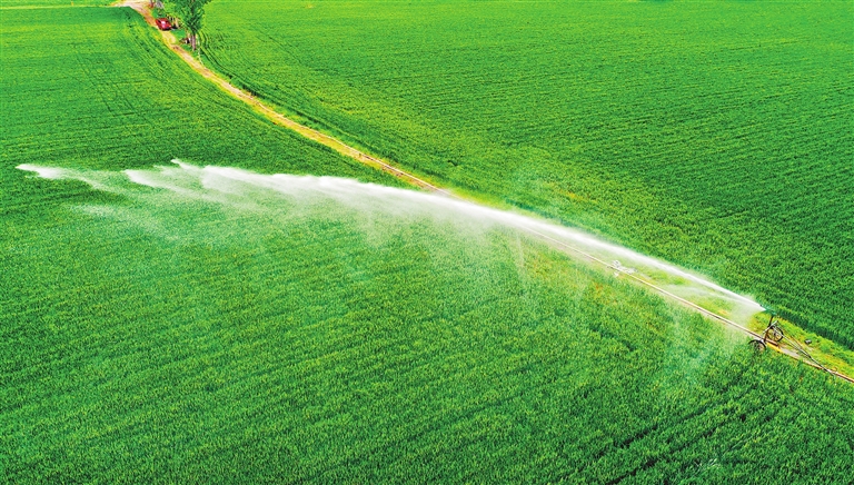 抗旱澆麥進(jìn)行時(shí)