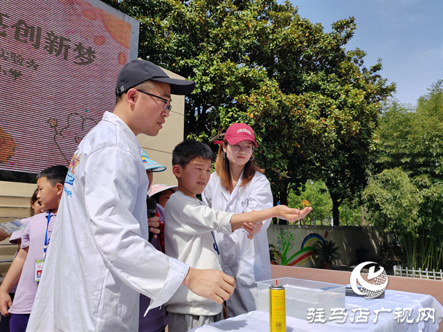 駐馬店市第二十五小學(xué)開(kāi)展科學(xué)實(shí)驗(yàn)秀活動(dòng)