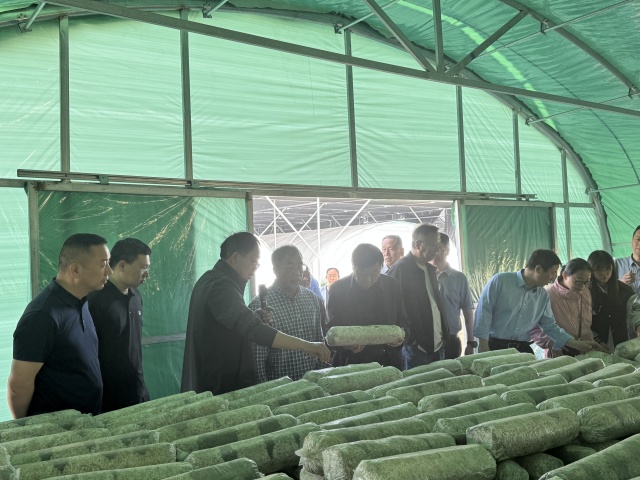 國(guó)家食用菌產(chǎn)業(yè)技術(shù)體系栽培與基質(zhì)研究室交流會(huì)在我市召開