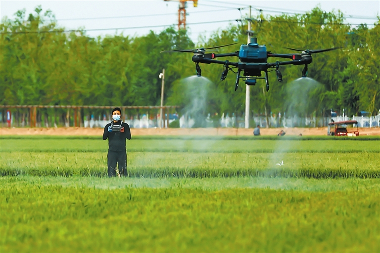 “一噴三防” 護(hù)航夏糧