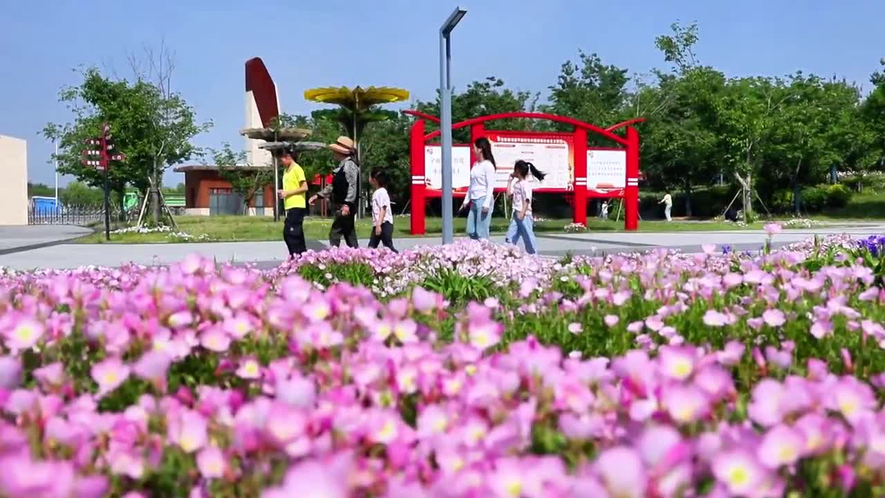 【大美天中】正陽(yáng)縣：芳菲四月醉美春光 植物園夢(mèng)幻花海引客來(lái)