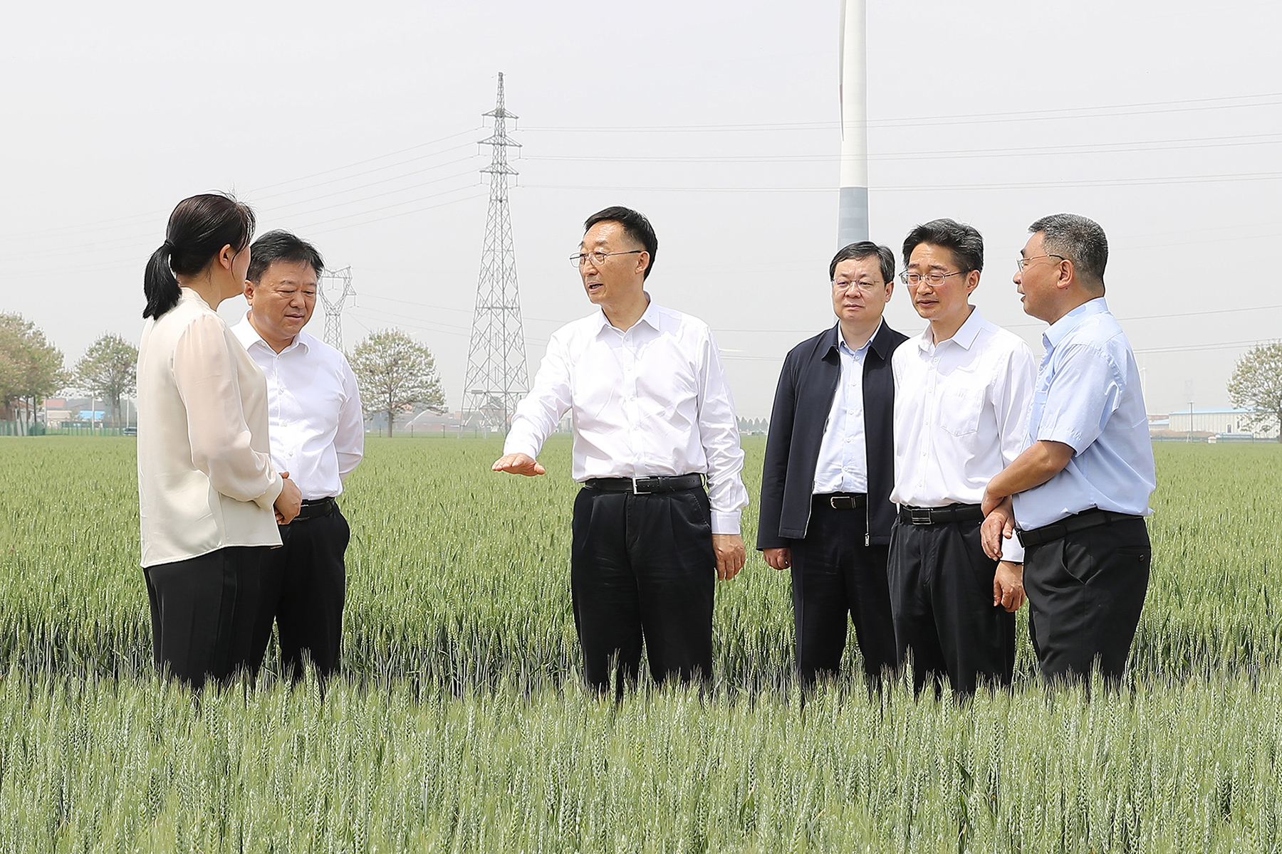 劉寧到溫縣、孟州市調(diào)研